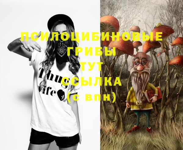 ECSTASY Краснослободск